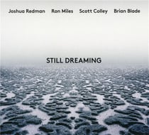 Still dreaming