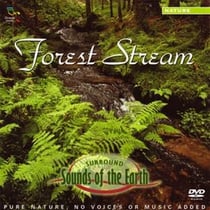 Forest stream