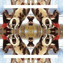 Ii