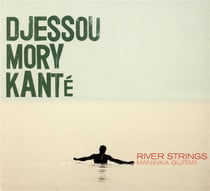 River strings maninka guitar
