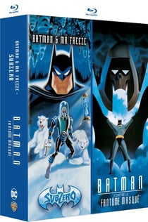 Batman Films animés - Collection de 2 films : Batman contre le fantôme masqué + Batman & Mr. Freeze: Subzero