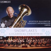 Snowflakes