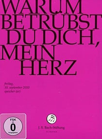 Warum betruebst du dich mein