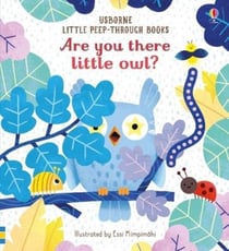 ARE YOU THERE LITTLE OWL? - LITTLE PEEP-THROUGH BOOKS