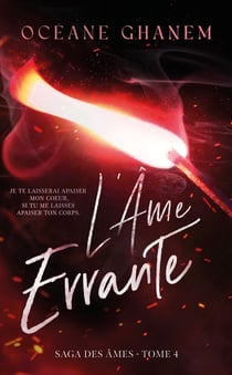 La saga des âmes Tome 4 : L'âme errante Tome 2