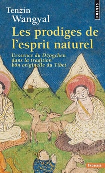 Les prodiges de l'esprit naturel - l'essence du dzogchen dans la tradition bön originelle du Tibet