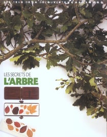 Les secrets de l'arbre