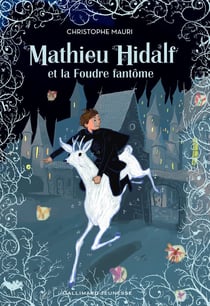 Mathieu Hidalf et la foudre fantome