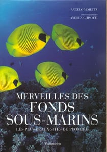 Merveilles des fonds sous-marins - les plus beaux sites de plongee