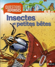 Insectes et petites betes
