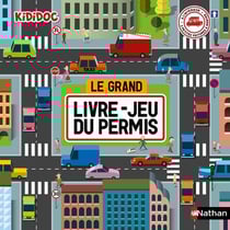 Le grand livre-jeu du permis