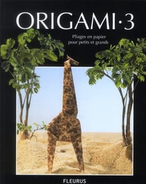 Origami 3