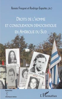 Droits de l'homme et consolidation démocratique en Amérique du sud