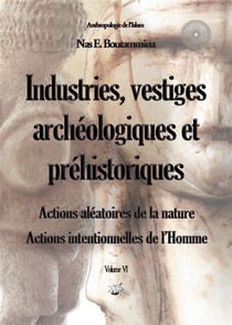 Industries, vestiges archéologiques et préhistoriques : actions aleéatoires de la nature - actions intentionnelles de l'homme