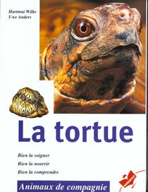La tortue