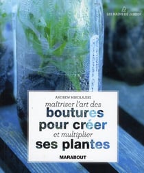 Maîtriser l'art des boutures pour créer et multiplier ses plantes