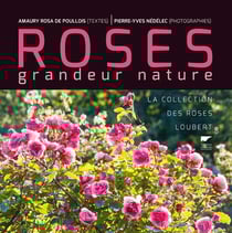 Roses grandeur nature - la collection des roses Loubert