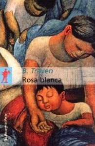 Rosa blanca