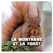 La montagne et forêt