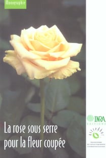 La rose sous serre pour la fleur coupée