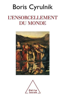 Ensorcellement du monde