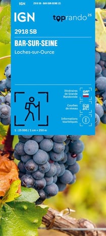 2918SB BAR-SUR-SEINE LOCHES-SUR-OURCE