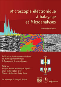 Microscopie électronique à balayage et microanalyses