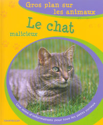 Gros plan sur les animaux 07. le chat malicieux