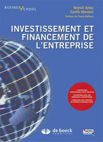 Décisions d'investissement et de financement de l'entreprise