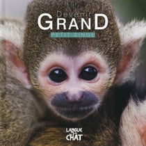Devenir grand - petit singe