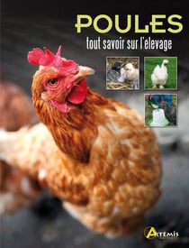 Poules - tout savoir sur l'élevage