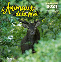 Calendrier animaux de la foret 2021 (édition 2021)