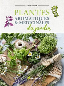 Plantes aromatiques et médicinales du jardin