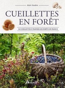 Cueillettes en forêt : 50 cueillettes à travers les forêts de France