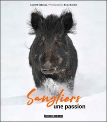 Sangliers, une passion