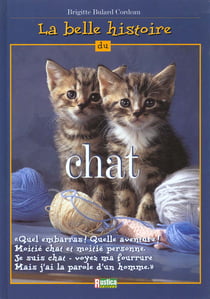 La belle histoire du chat