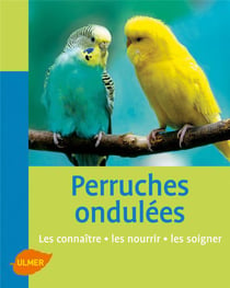 Perruches ondulées - les connaître, les nourrir, les soigner