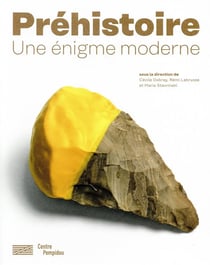 Préhistoire, une énigme moderne