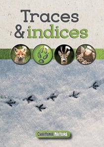 Traces & indices
