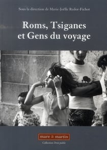 Roms, Tsiganes et gens du voyage