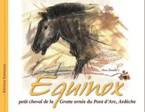 Equinox - petit cheval de la grotte ornée du pont d'arc, ardèche