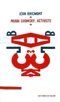 Noam Chomsky, activiste