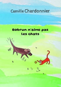 Bobrun n'aime pas les chats