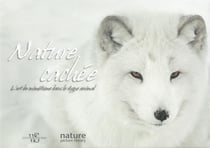 Nature cachée - l'art du mimétisme dans le règne animal