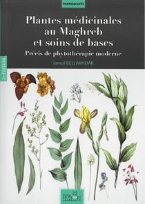 Plantes médicinales au maghreb et soins de bases - précis de phytothérapie moderne