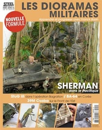 Steelmasters hors-série n.4 : les dioramas militaires