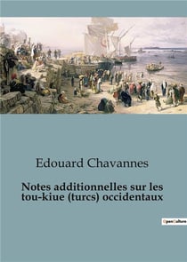 Notes additionnelles sur les tou-kiue (turcs) occidentaux : Les Turcs occidentaux: entre alliances et rivalités