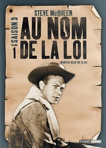 Au nom de la loi - Saison 3 - Volume 1