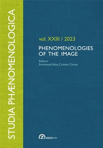 Phenomenologies of the image