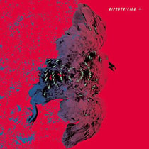 Birdstriking - édition limitée colorée 180g